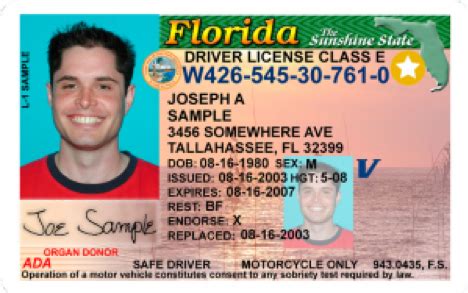 tax collector pinellas county drivers license